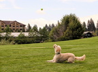 Bend2014 157-edited
