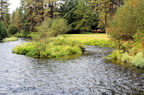 Bend2014 403-edited