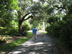Fairchild Gardens 2009